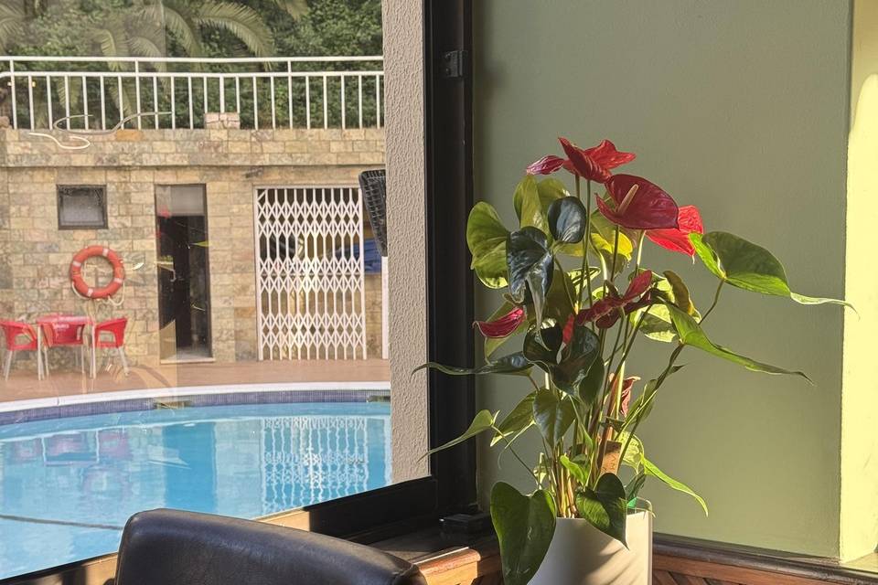 Vista da piscina