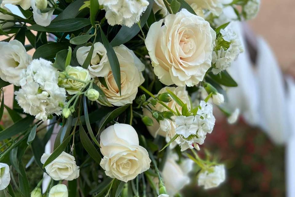 Sonhos Reais - Eventos e Ambientes