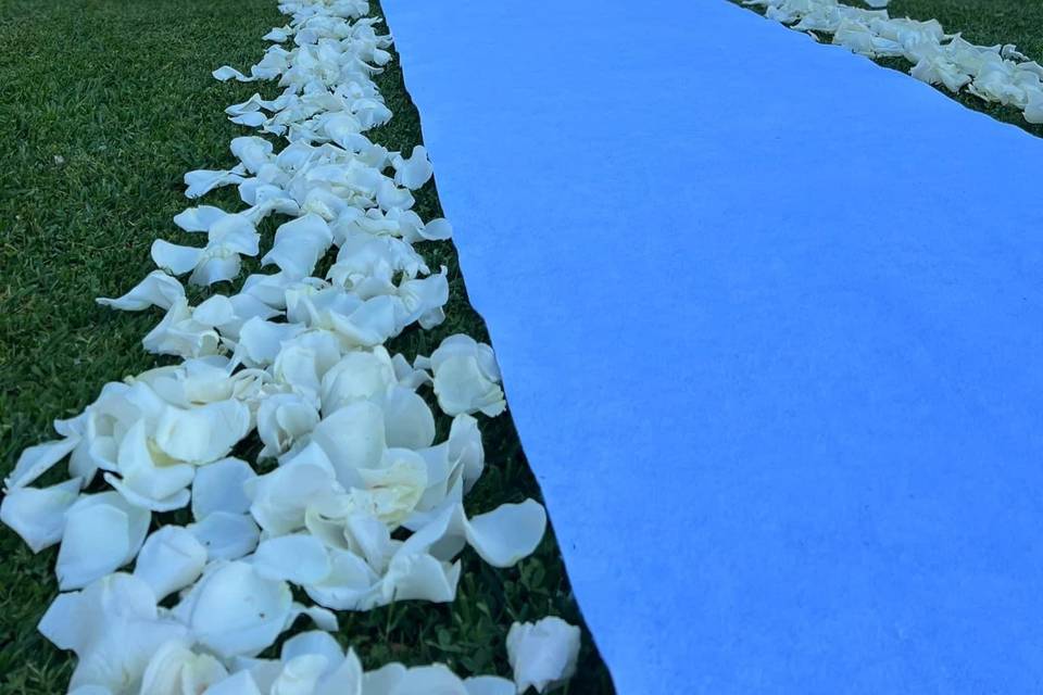 Sonhos Reais - Eventos e Ambientes