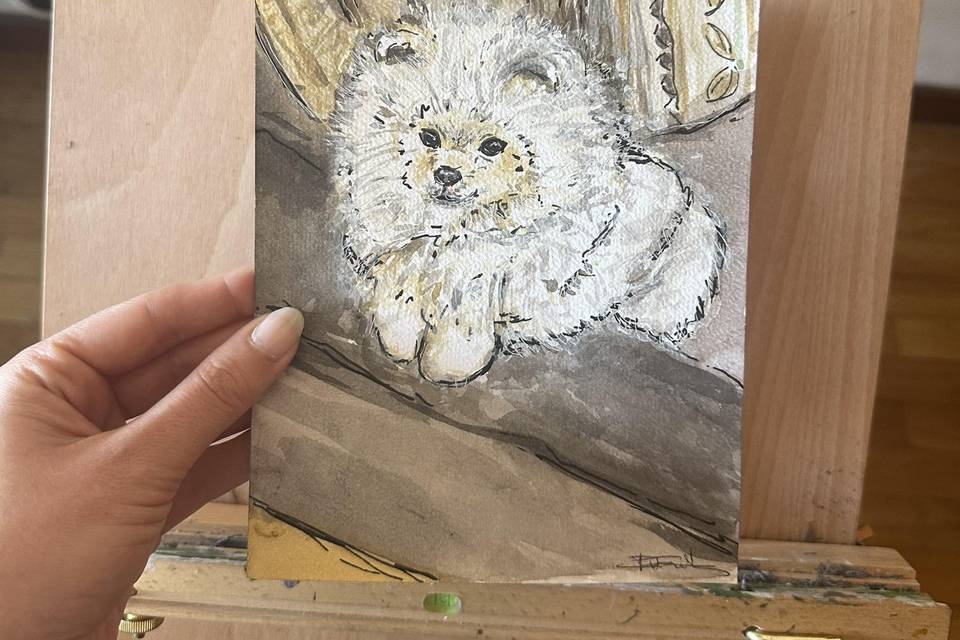 Ilustrações
