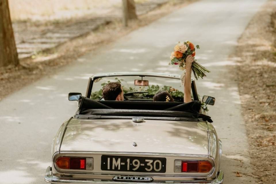 SPITFIRE Cabrio