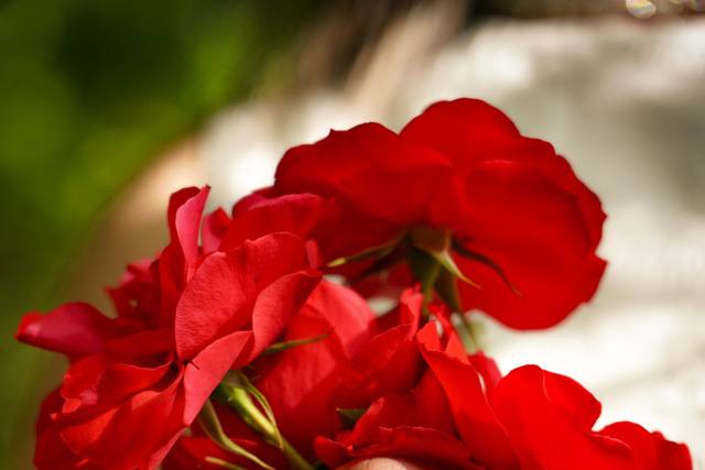 Detalhes