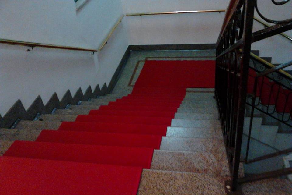 Red Carpets
