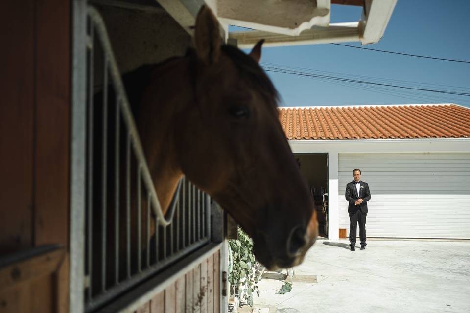Bernardo Condeixa