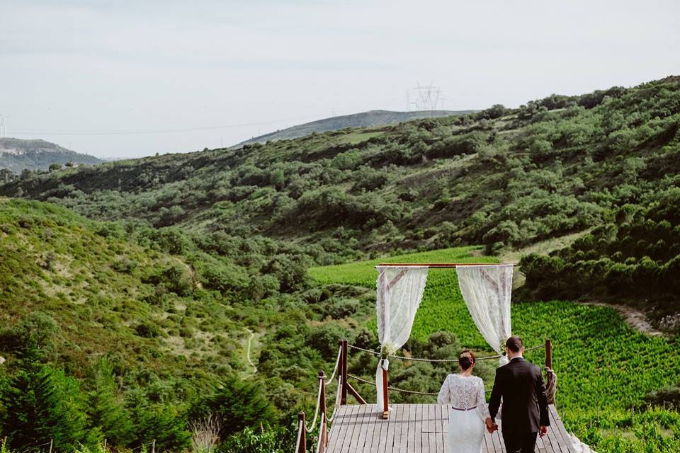 Casamento numa vinha