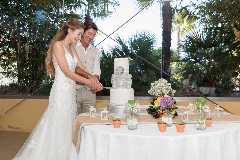 Casar com os golfinhos