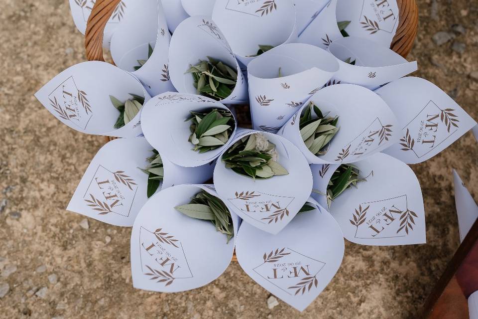 Cones com folha de oliveira