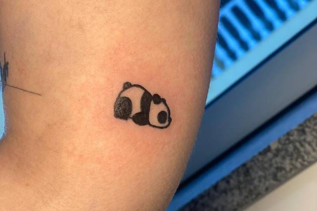 Small Panda