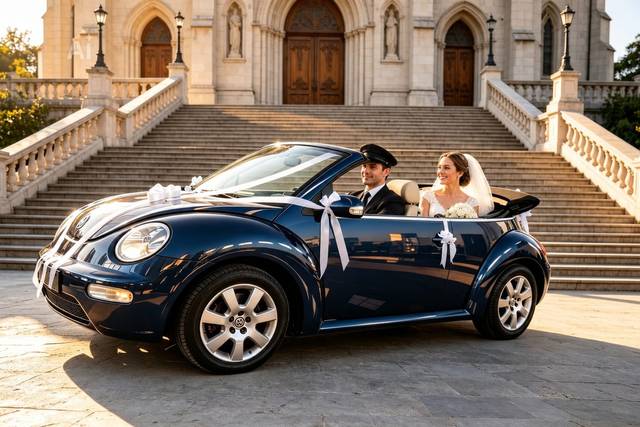 Beetle