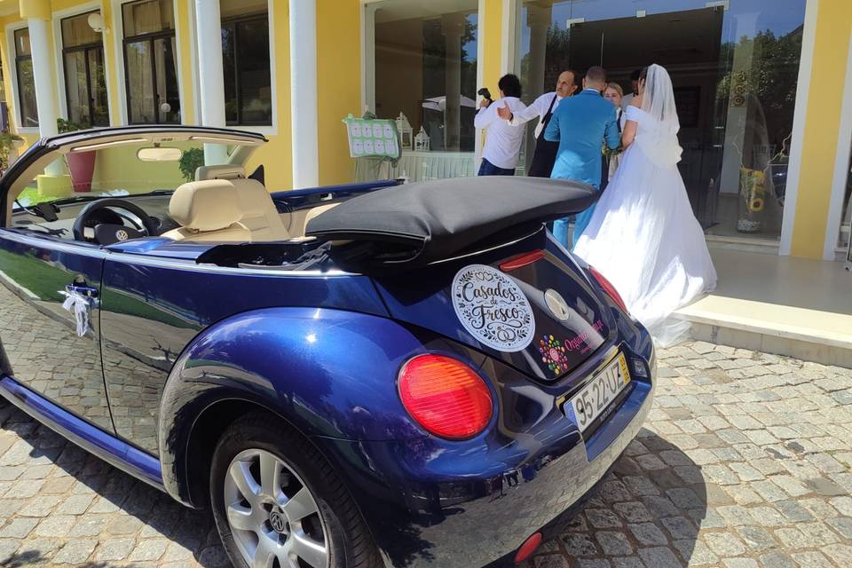 Beetle