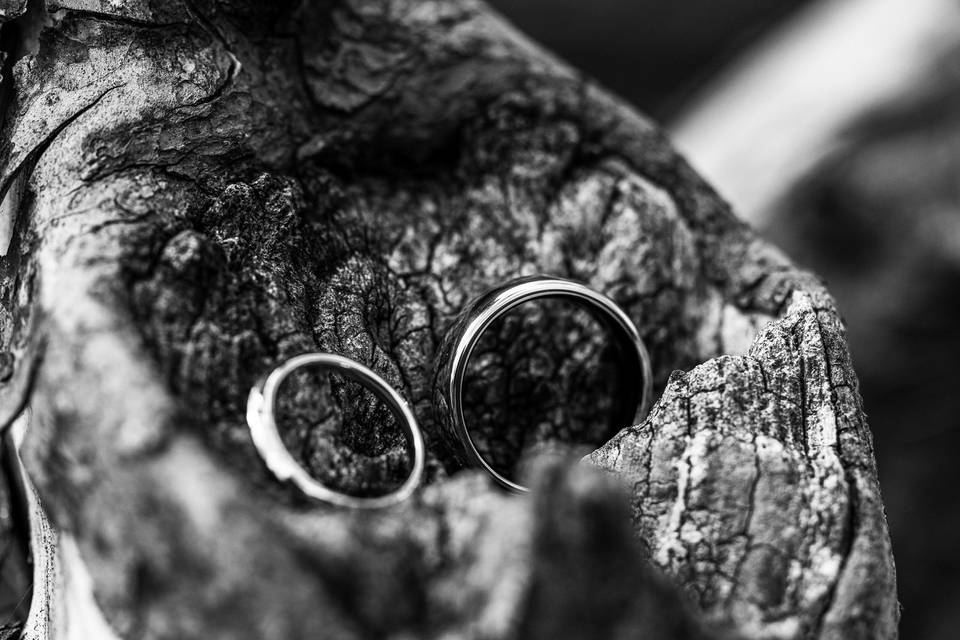 Detalhes