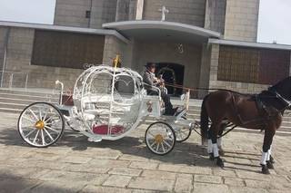 Charretes com Cavalos