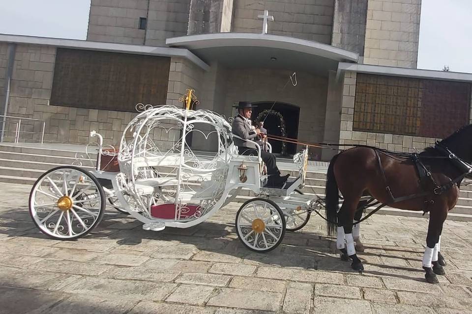 Charretes com Cavalos