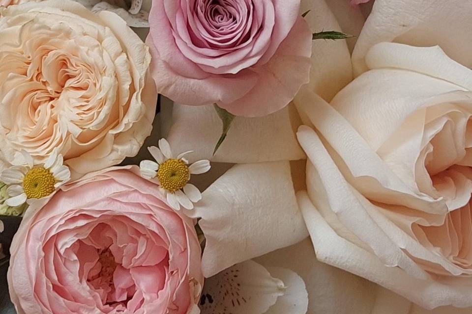 Detalhes