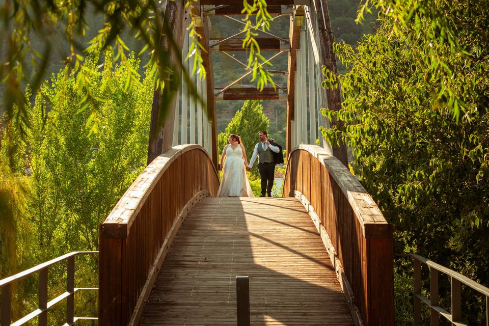 Trash The Dress