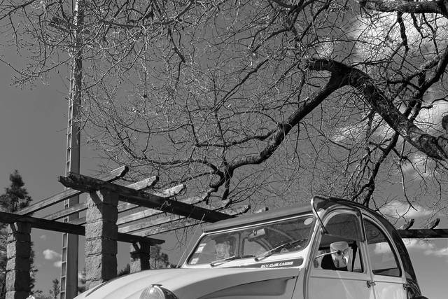 Citroen 2CV Club