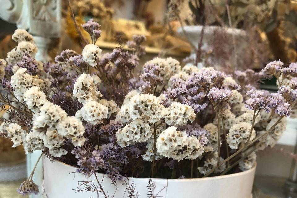 Caixas flores secas