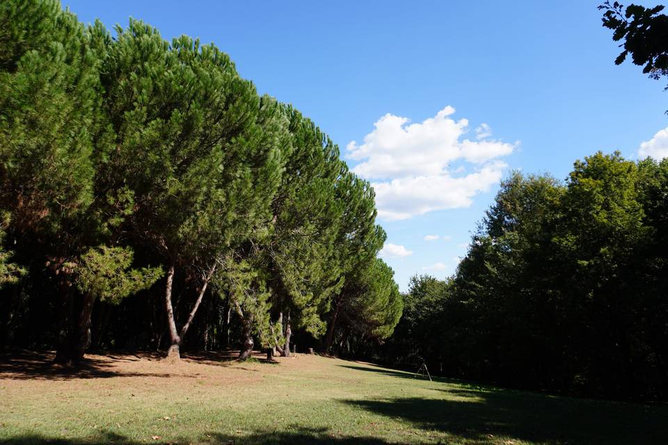 Parque