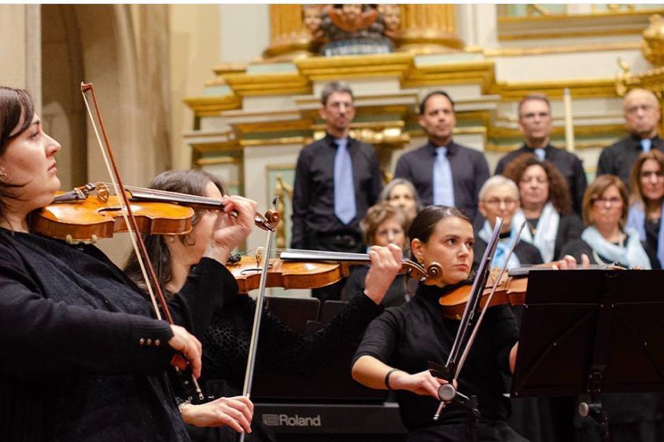 Juliana Garcia Violinista