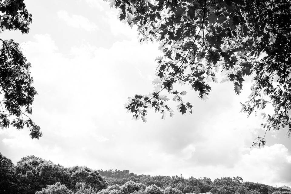 Momentos Black & White