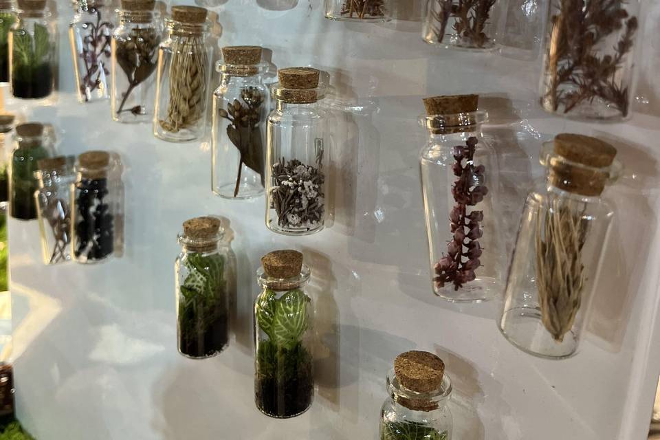 Mini terrário com iman