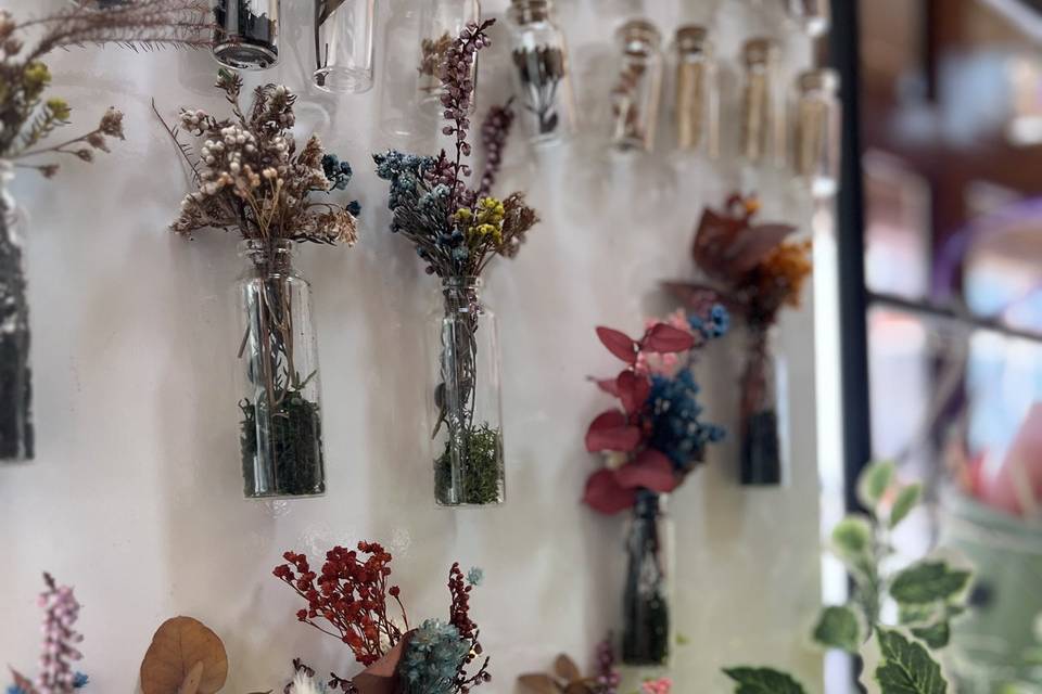 As Plantas da Joana