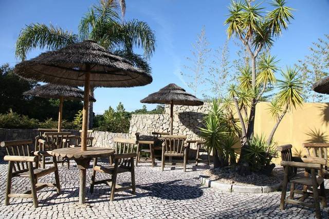 Jardim