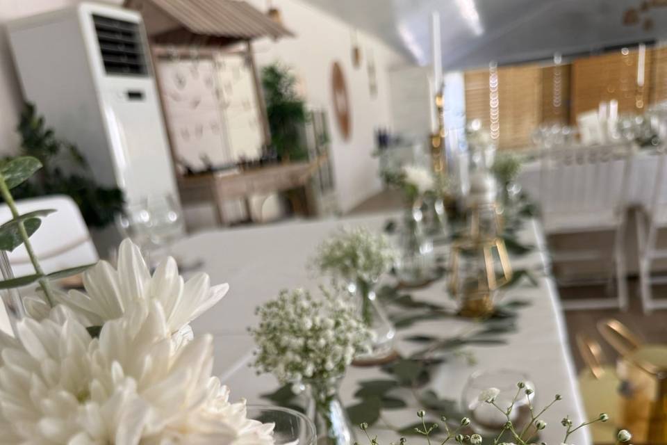Decor