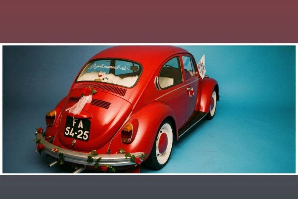 Vw carrocha