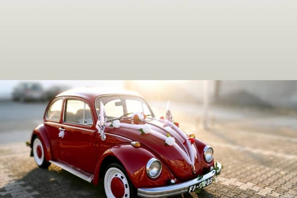 VW carrocha