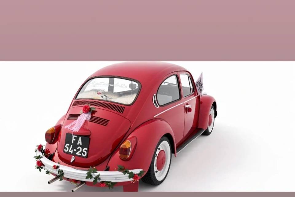 VW carrocha