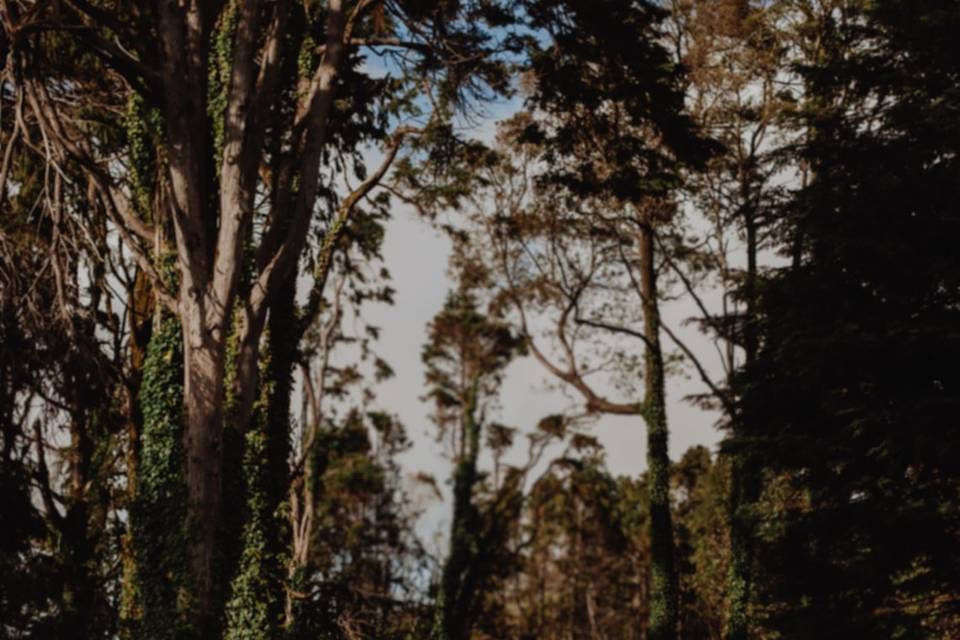 Peninha - Sintra
