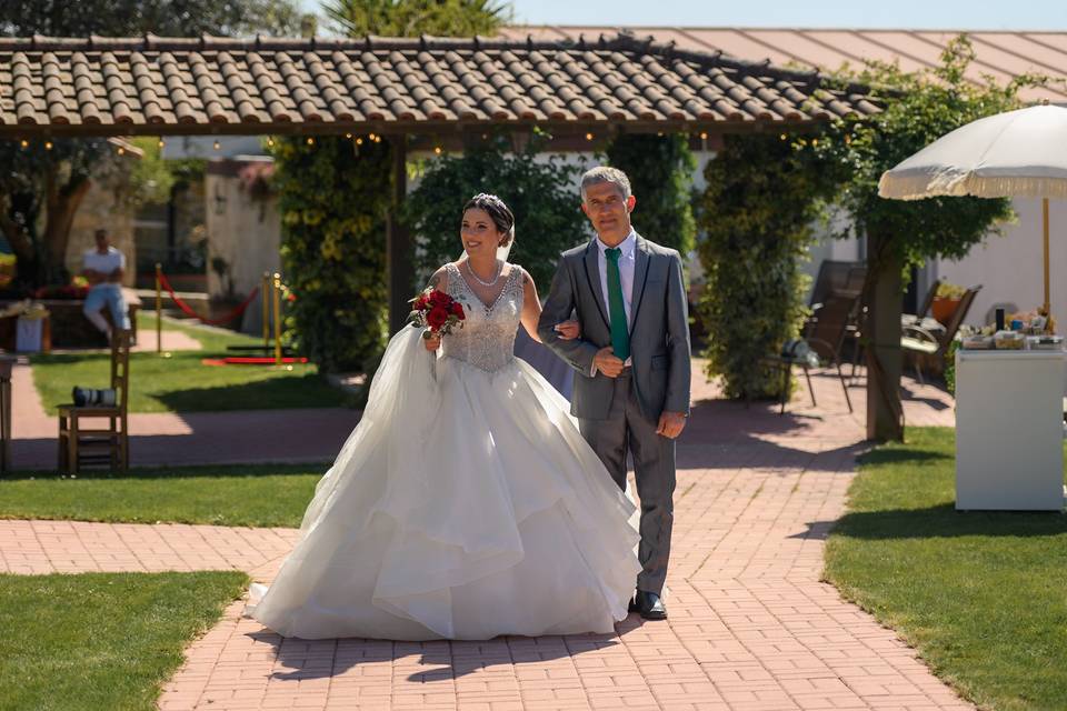 The walk
