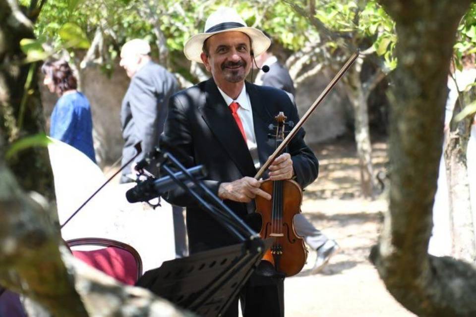 Solo violino