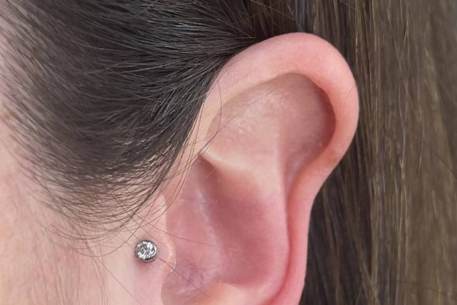Tragus