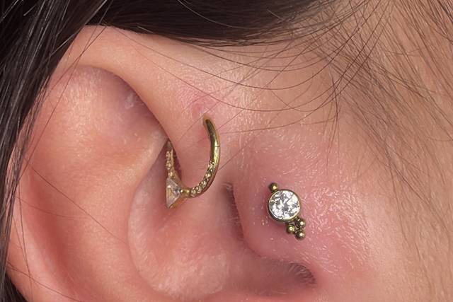 Tragus