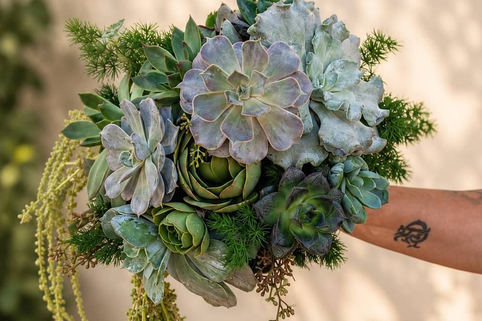 Bouquet suculentas