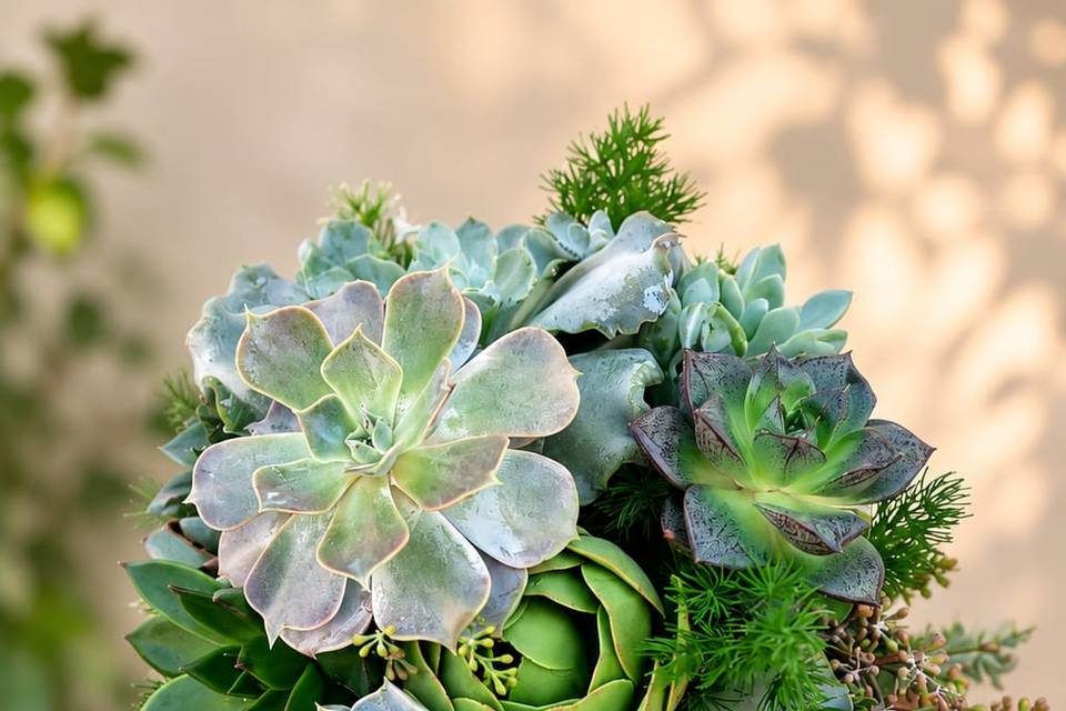Bouquet suculentas