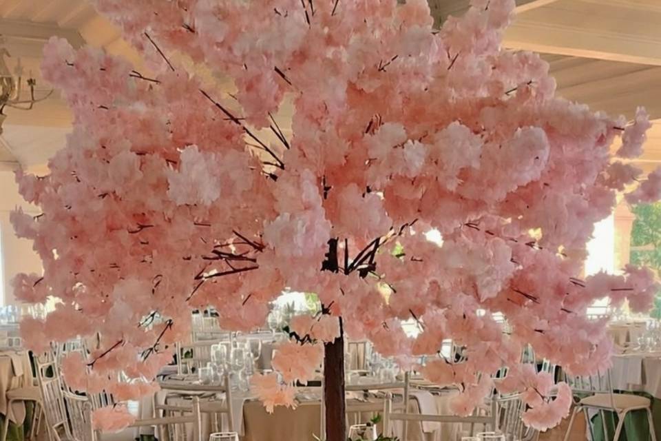 Decoração Casamentos Mafra