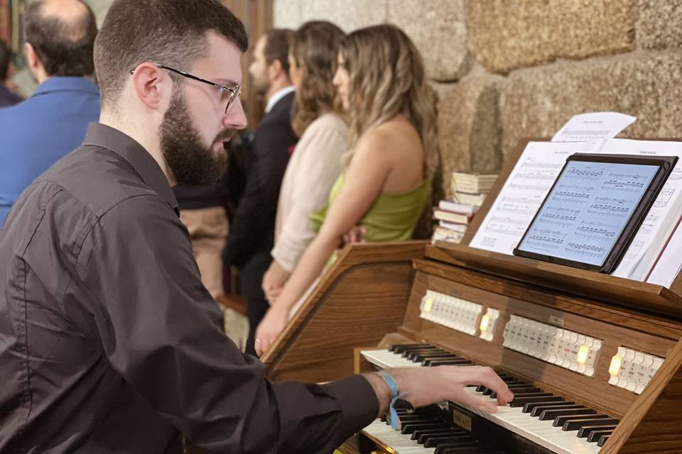 Organista