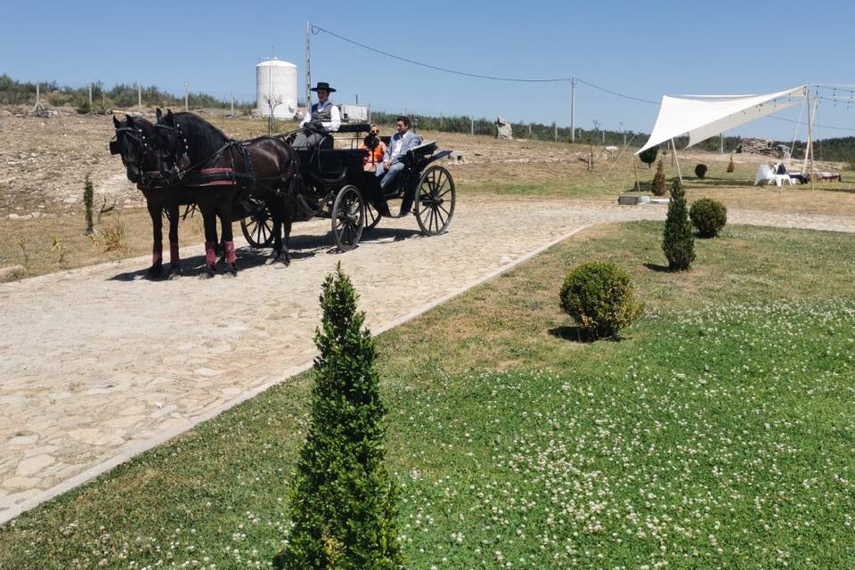 Quinta das Pedras bem Feitas