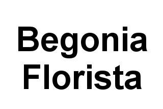Begonia Florista