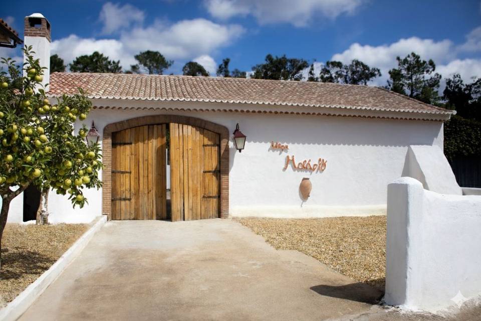 Adega Centenária Malápio