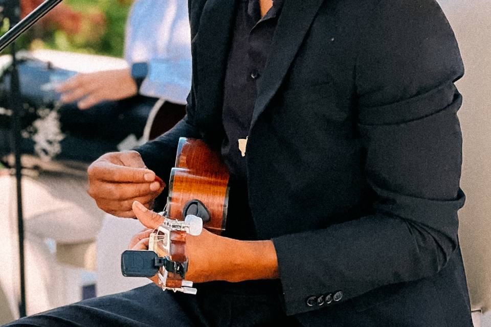 Elegância
