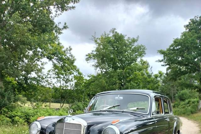 Mercedes 220S
