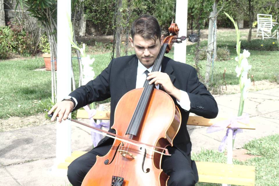 João Brito | cello
