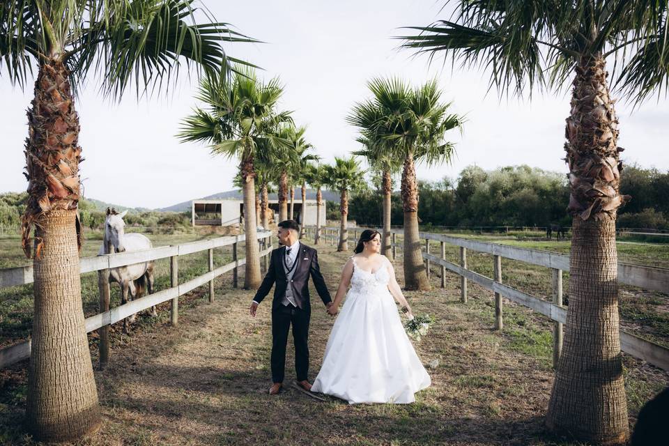 Beatriz + João