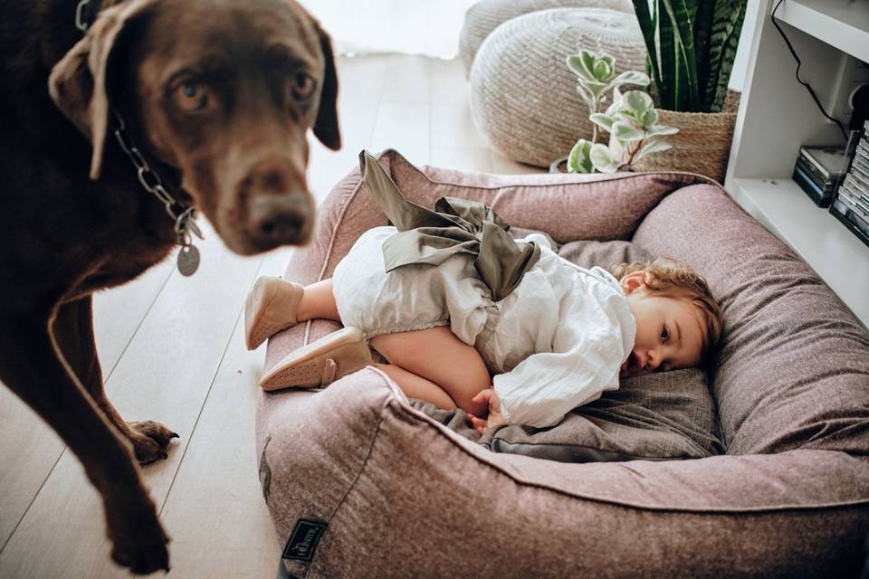 Cão e menina