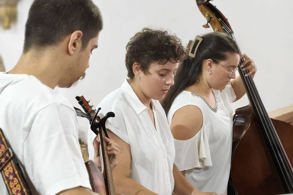 Harmony