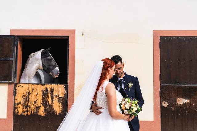 Casamento Carvoeiro